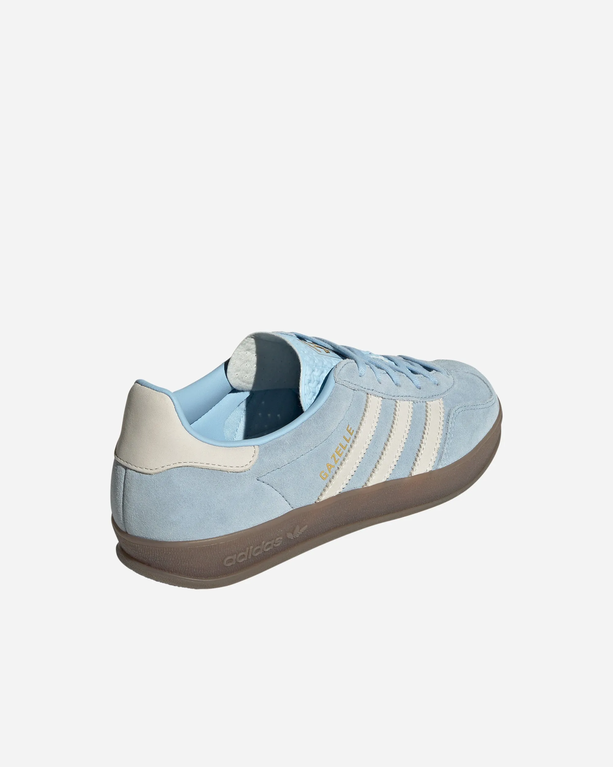 Gazelle Indoor