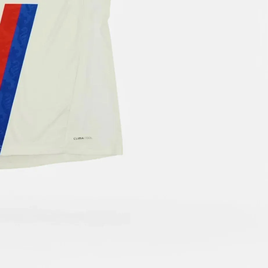 Olympique Lyon Adidas 2010-2011 Home Jersey (L)